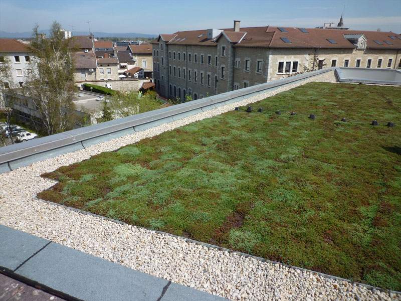  pour lutter contre les îlots de chaleur urbains.